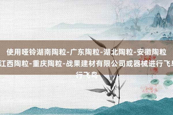 使用哑铃湖南陶粒-广东陶粒-湖北陶粒-安徽陶粒-江西陶粒-重庆陶粒-战果建材有限公司或器械进行飞鸟